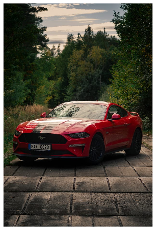 1761759948862-Mustang-05.jpg